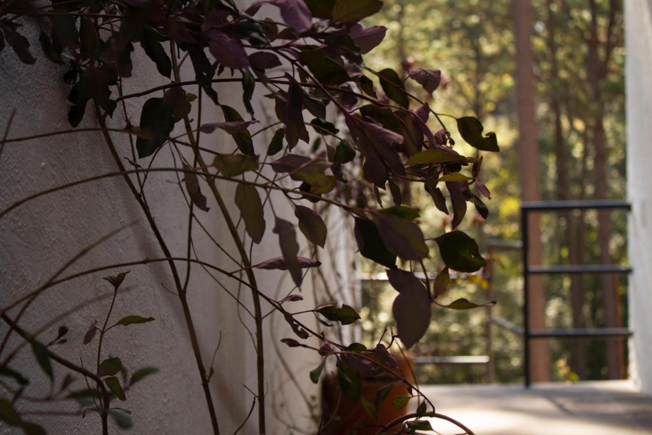 Encino House Valle de Bravo Exterior photo